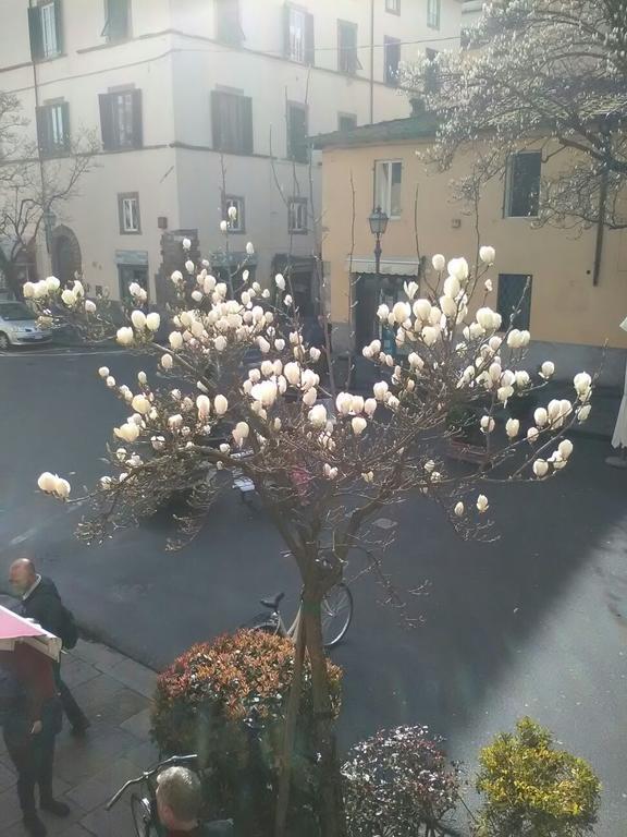Suite Sofia Λούκα Εξωτερικό φωτογραφία